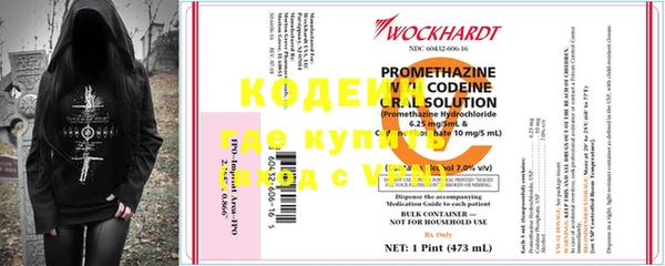 ГАЛЛЮЦИНОГЕННЫЕ ГРИБЫ Бородино