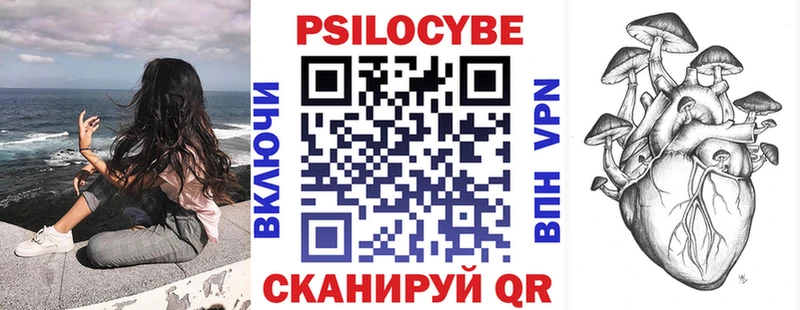Галлюциногенные грибы Psilocybe  Красноярск 